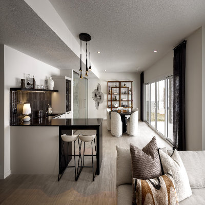 entertainment-room